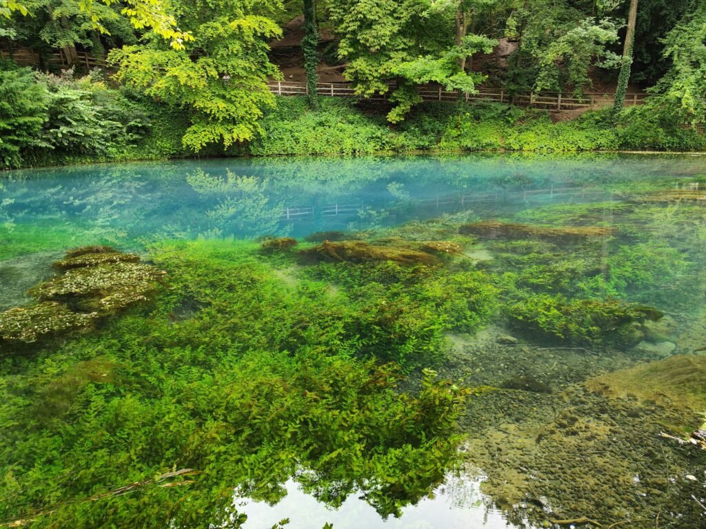 The Blue Pool in Furzebrook - a disused clay pit now a beautiful lake in Dorset